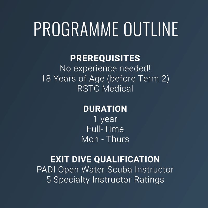 Diploma in Professional Scuba Instruction Dive Otago