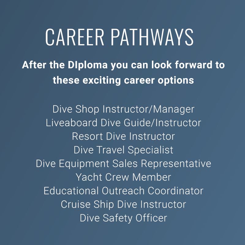 Diploma in Professional Scuba Instruction Dive Otago