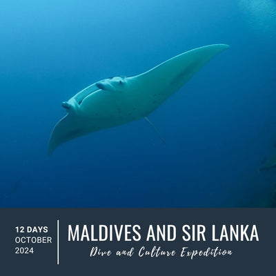Maldives Sri Lanka Dive Trip 2024 Dive Trip Dive Otago