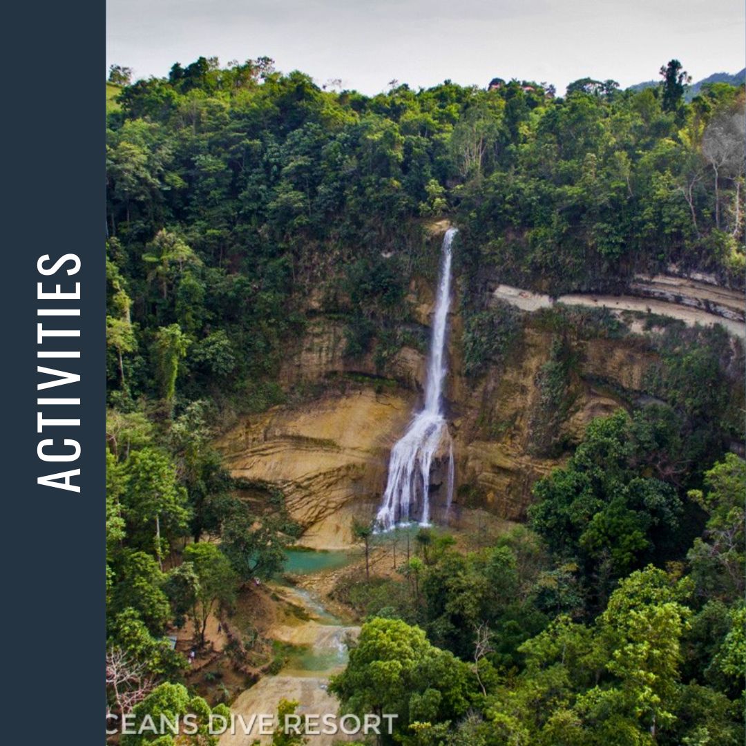 Philippines Dive Expedition 2026 Dive Trip Dive Otago