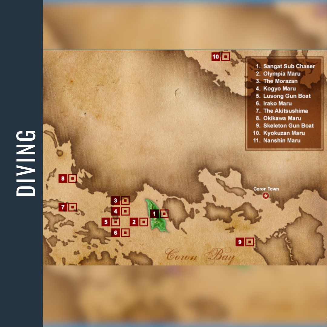 Philippines Dive Expedition 2026 Dive Trip Dive Otago