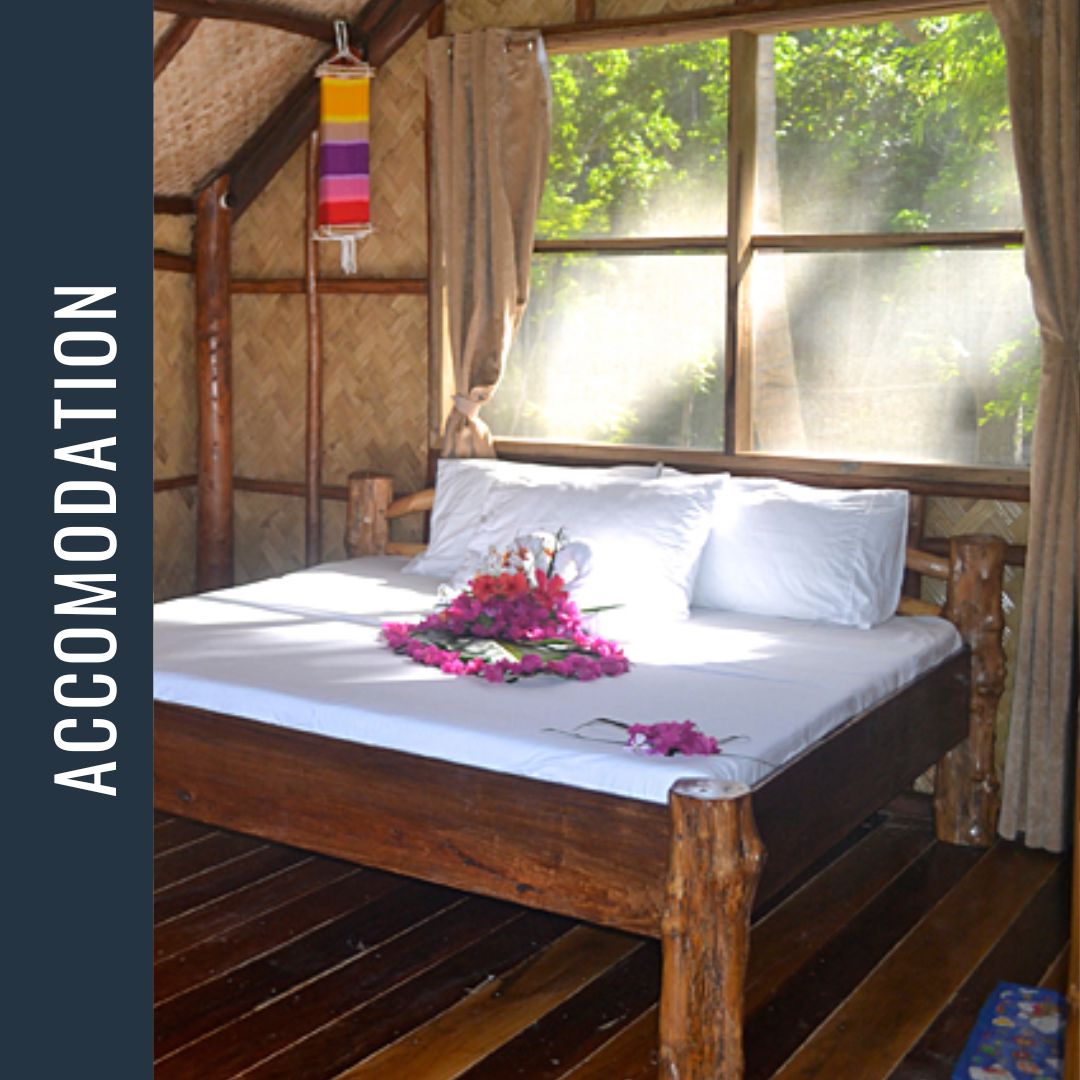 Philippines Dive Expedition 2026 Dive Trip Dive Otago