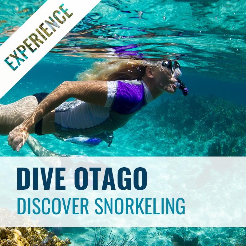 Discover Snorkelling Experience Course PADI 