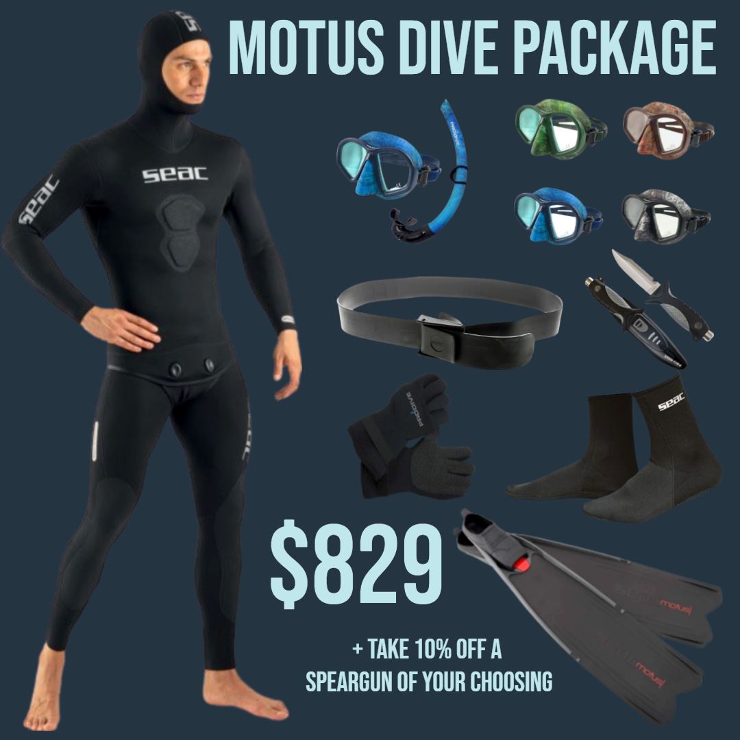 Motus Dive Package Dive Otago 