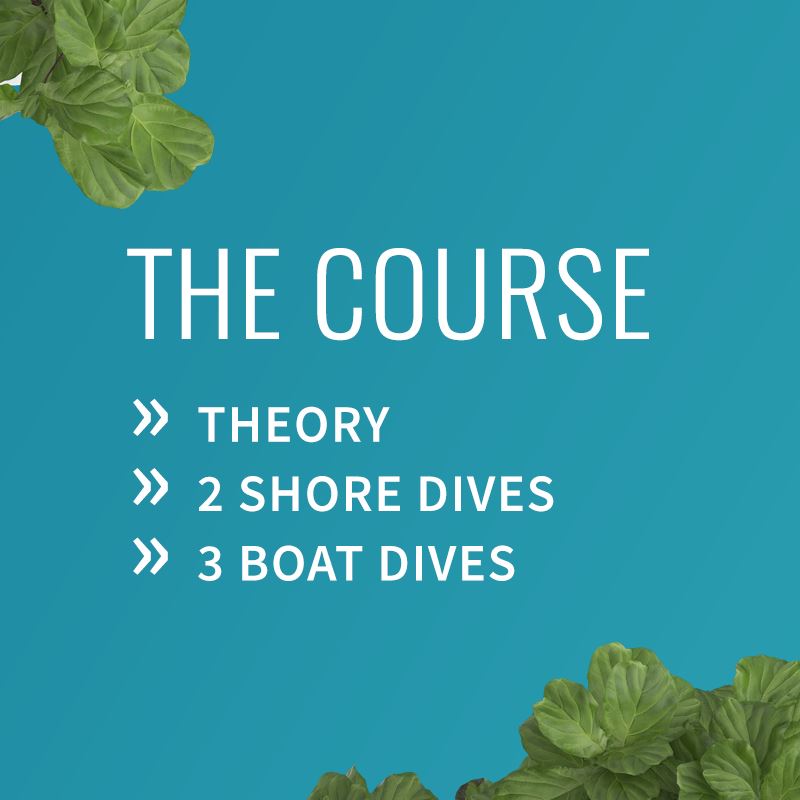 PADI Advanced Open Water Diver Course Course PADI