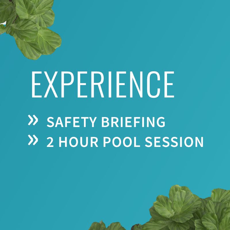 PADI Discover Scuba Experience Course PADI