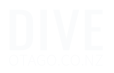 Dive Otago