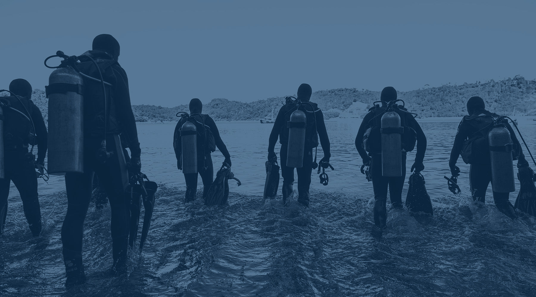 Dive Otago PADI Scuba Diving Dive Instructor Courses New Zealand