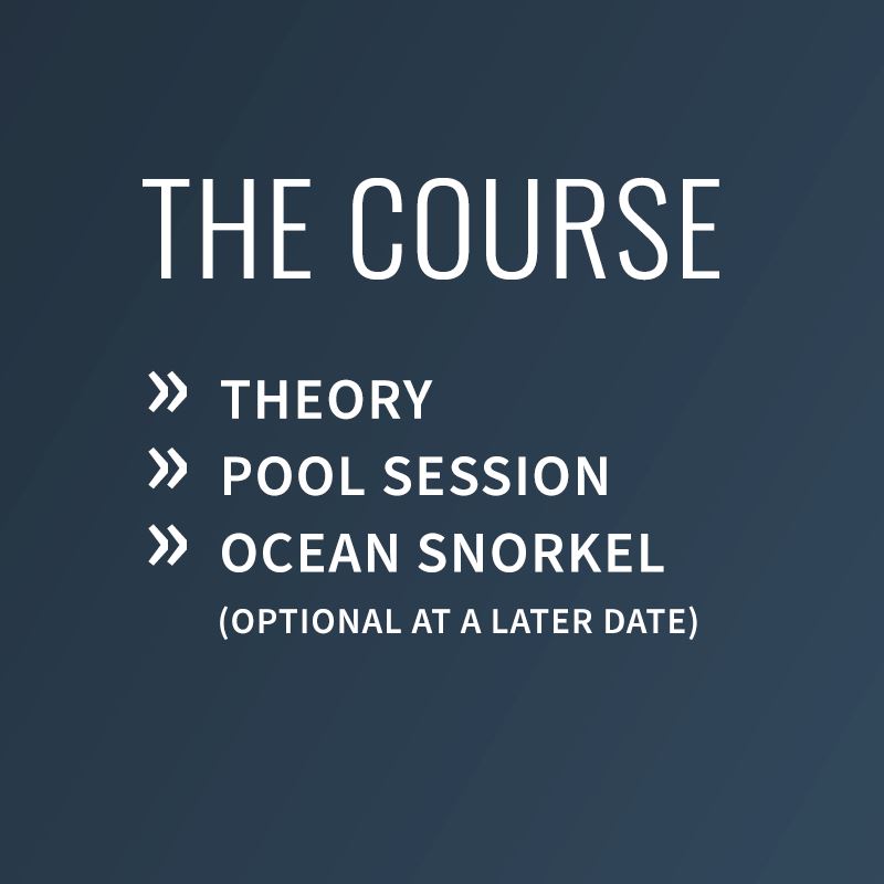 Advanced Snorkelling Course Course PADI 