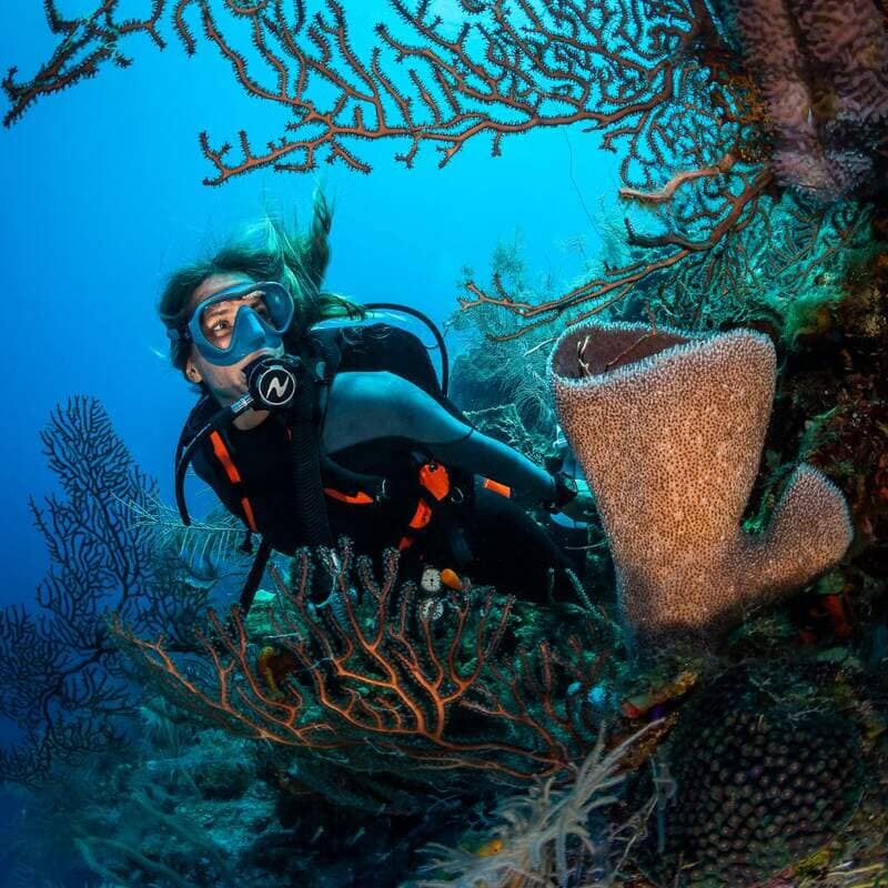 BCD Pro HD Compact BCD Scubapro 