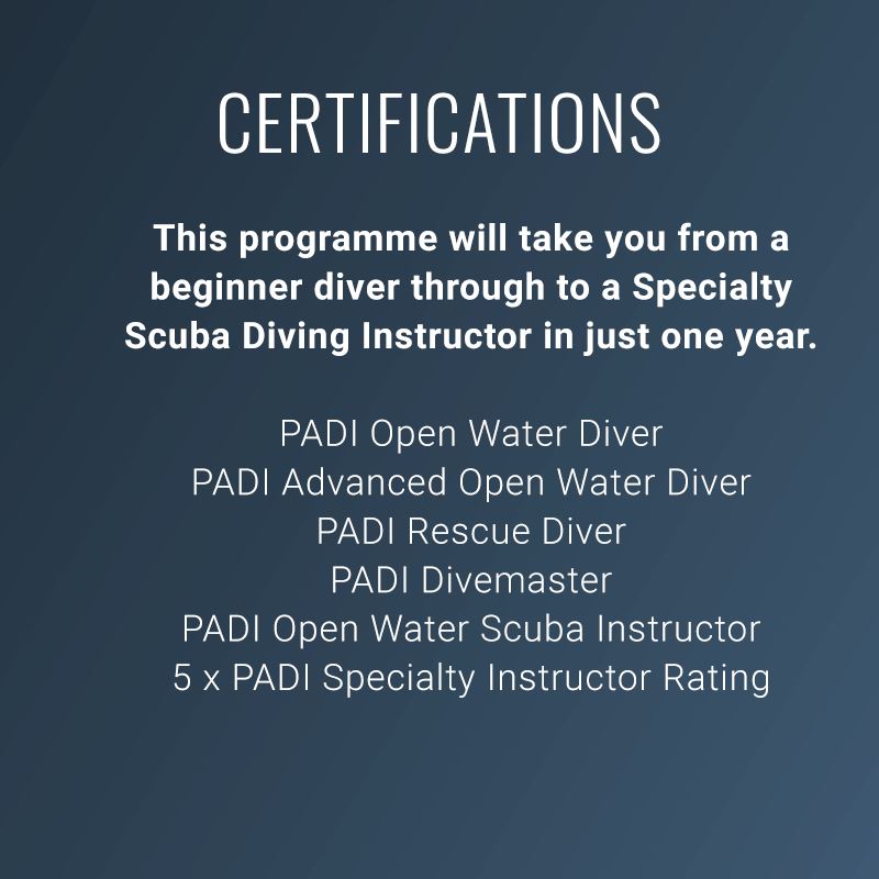 Diploma in Professional Scuba Instruction Dive Otago 