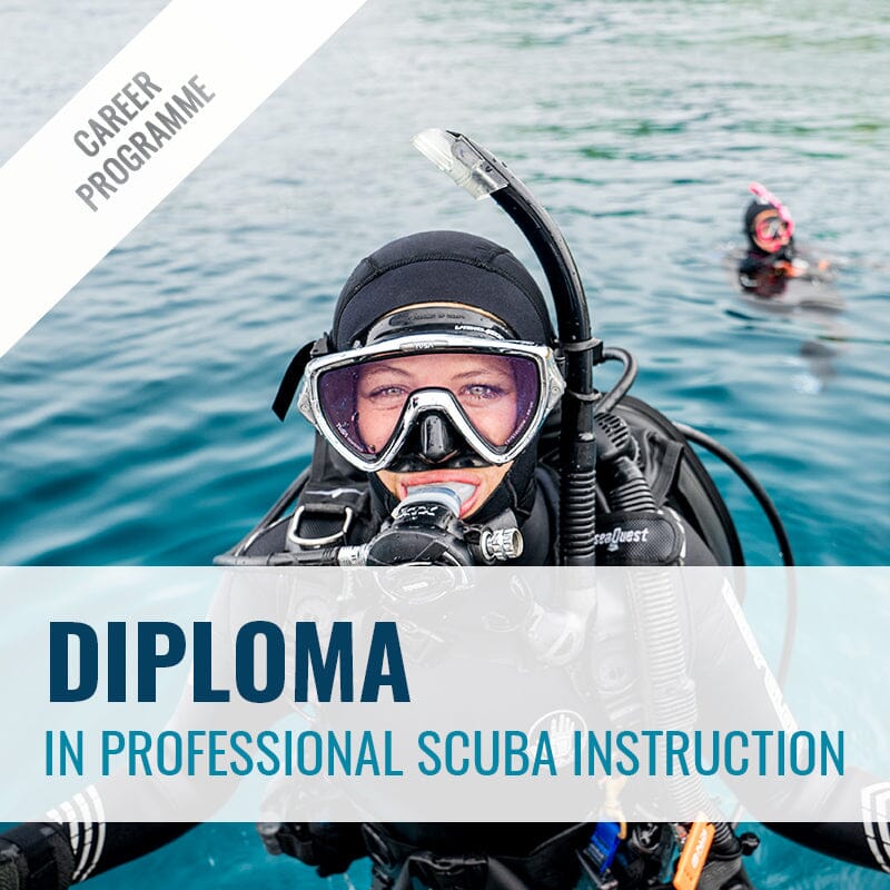 Diploma in Professional Scuba Instruction Dive Otago 