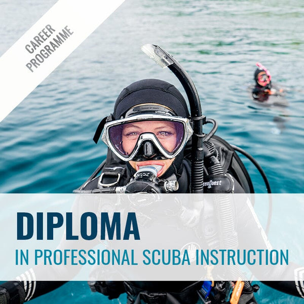 Diploma in Professional Scuba Instruction | Career Programme - Dive Otago