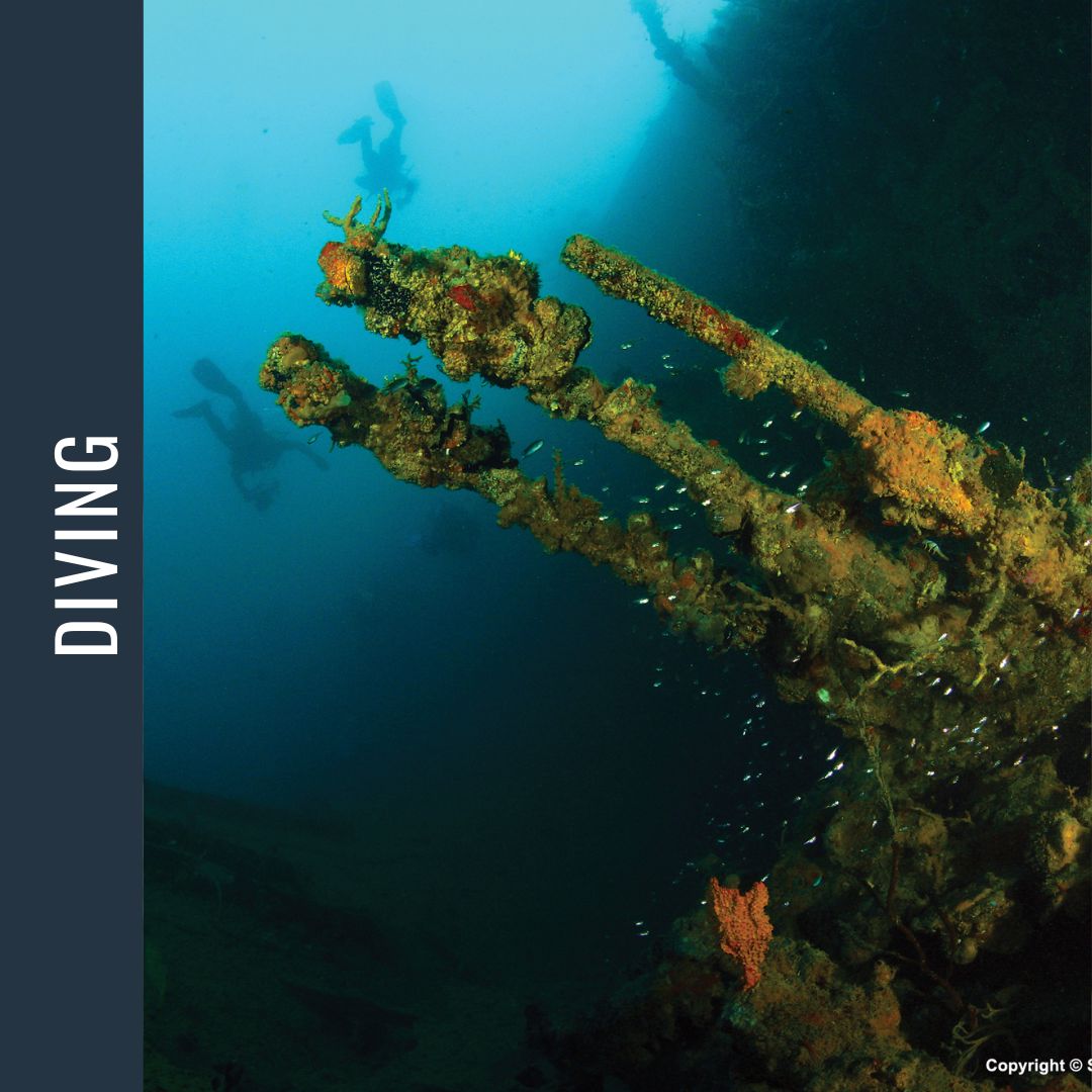 Philippines Dive Expedition 2026 Dive Trip Dive Otago 