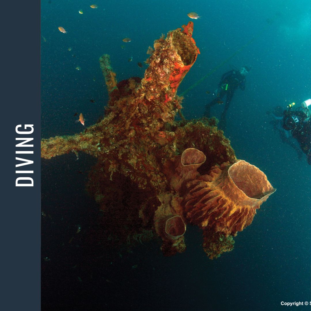 Philippines Dive Expedition 2026 Dive Trip Dive Otago 