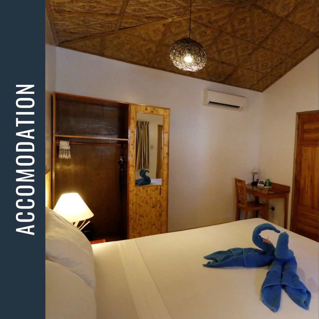 Philippines Dive Expedition 2026 Dive Trip Dive Otago 