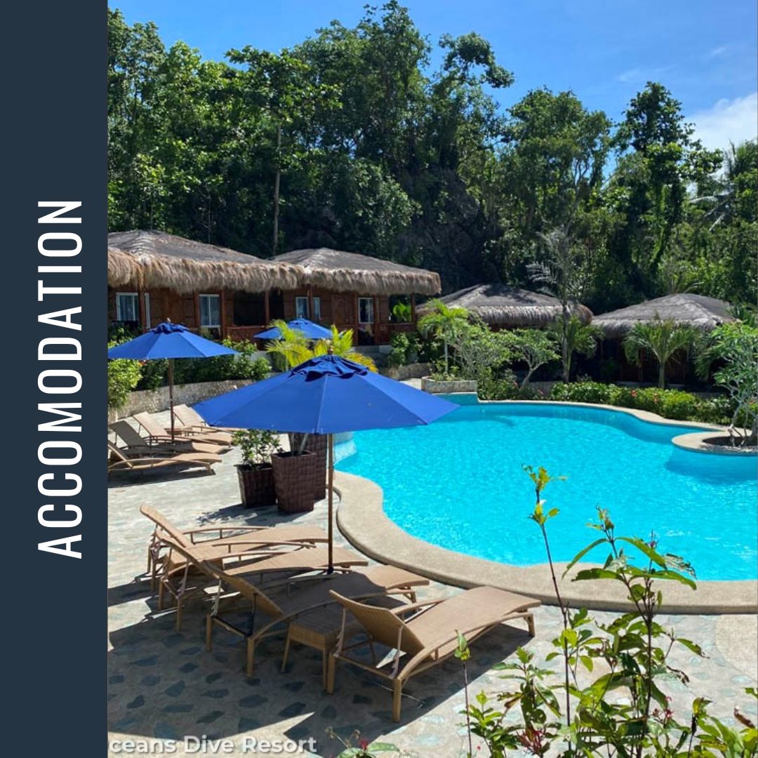 Philippines Dive Expedition 2026 Dive Trip Dive Otago 