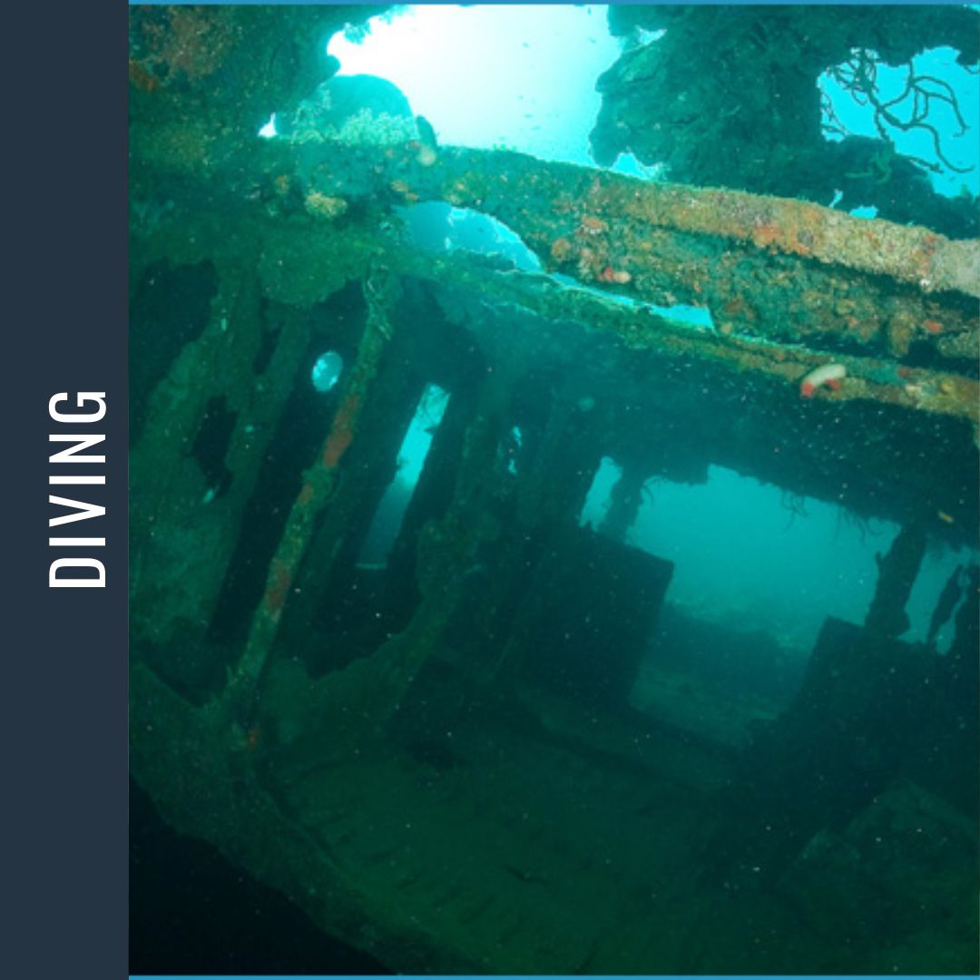 Philippines Dive Expedition 2026 Dive Trip Dive Otago 