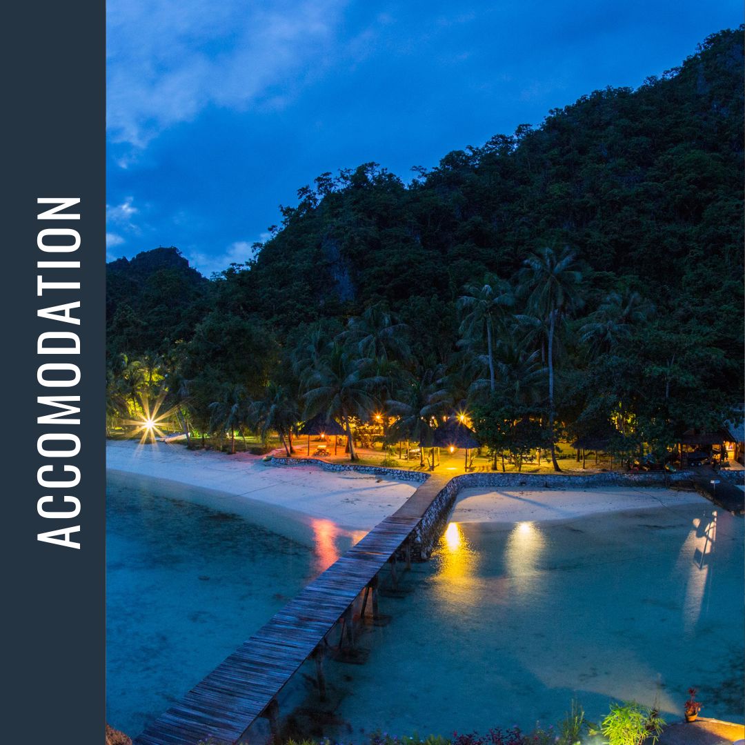 Philippines Dive Expedition 2026 Dive Trip Dive Otago 