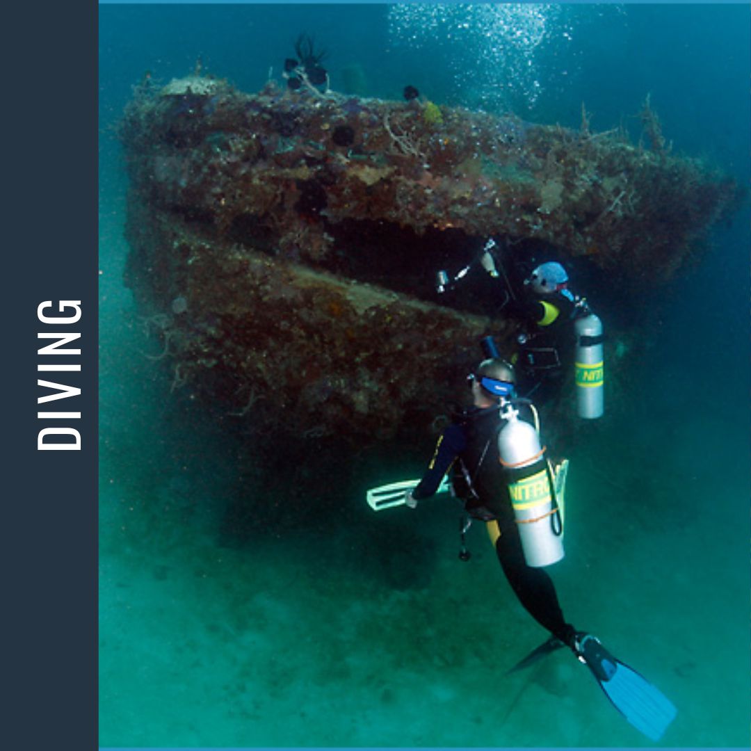 Philippines Dive Expedition 2026 Dive Trip Dive Otago 