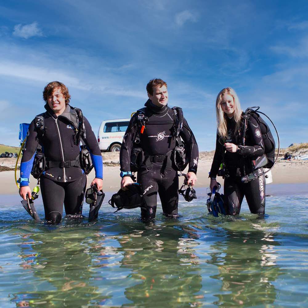 Divers exiting the water