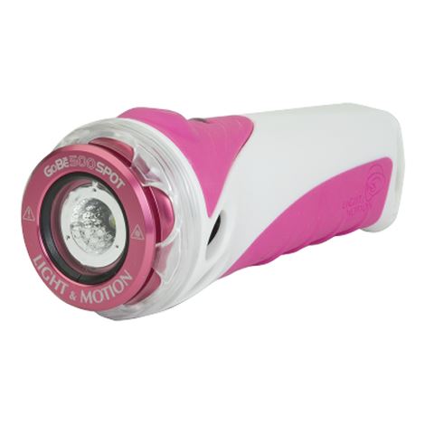 GoBe 500 Spot Light and Motion 
