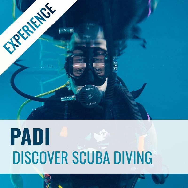 PADI Discover Scuba Experience Course PADI 