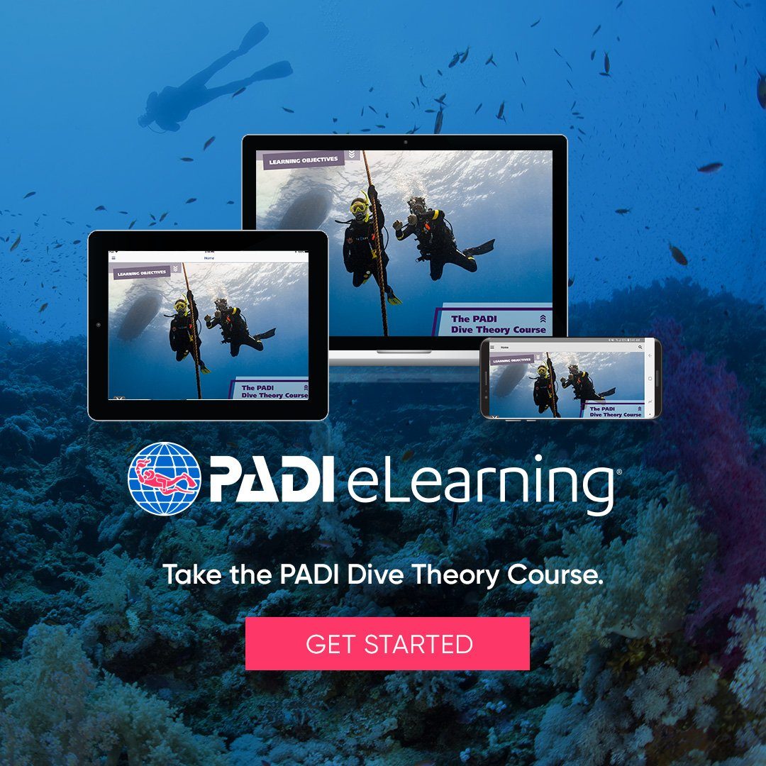 PADI Dive Theory eLearning