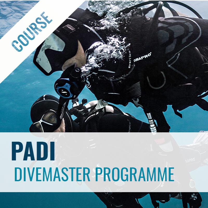 PADI Divemaster Course Course PADI 