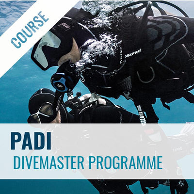 PADI Divemaster Course Course PADI