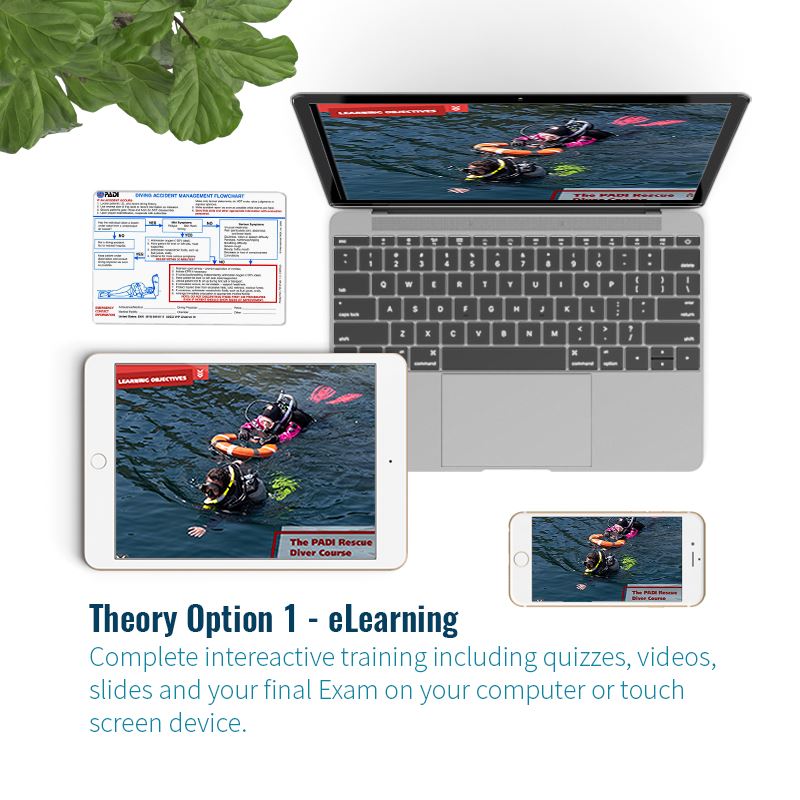 PADI Rescue Diver Course Course PADI 